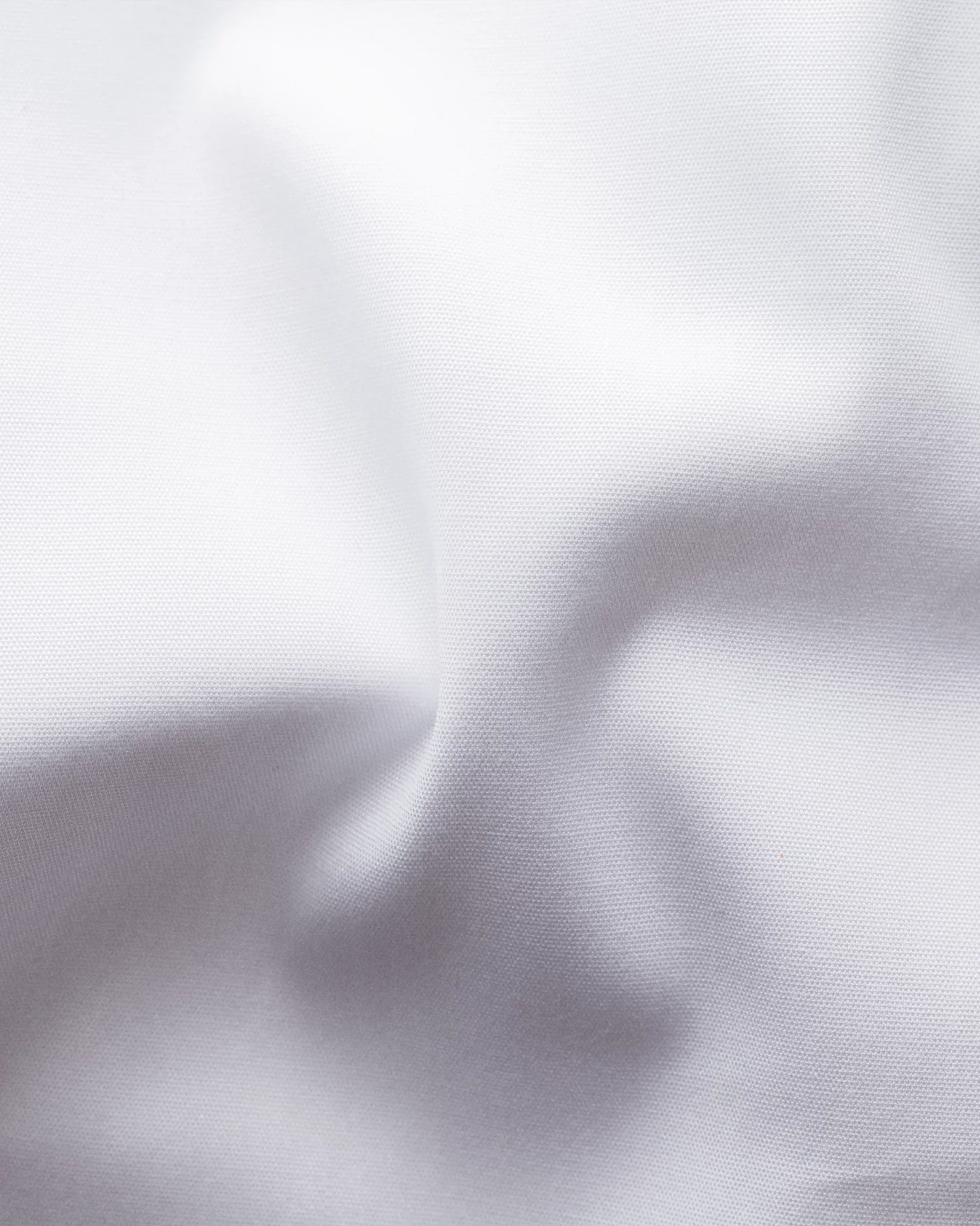 Signature Poplin