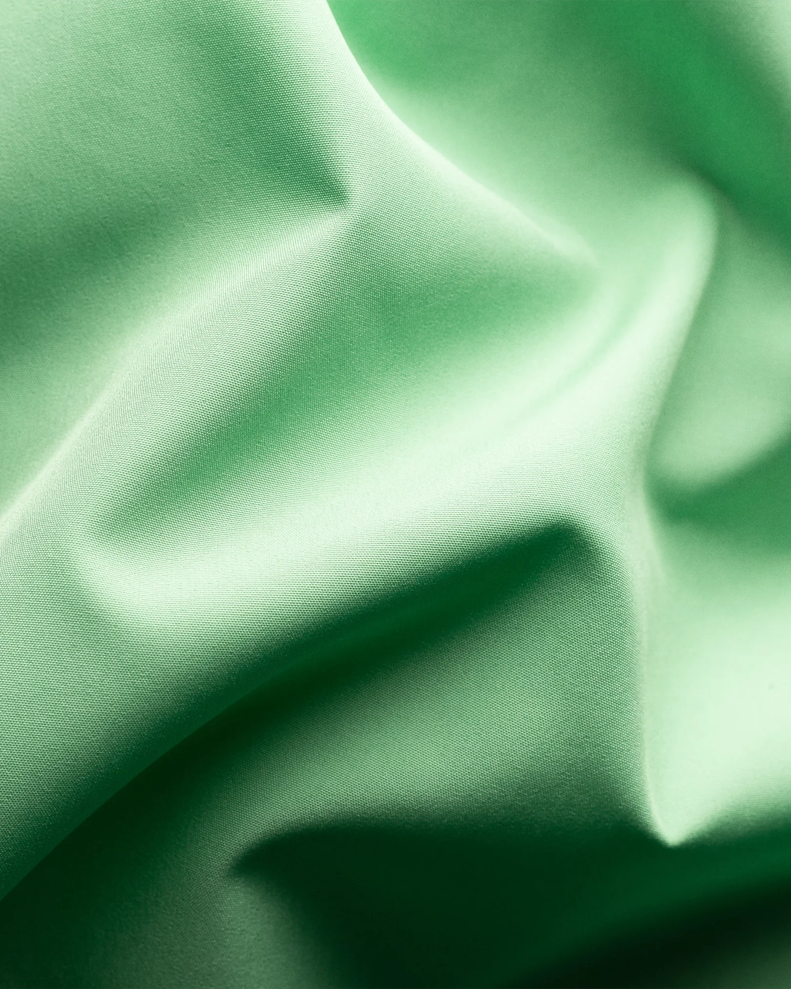 Eton - light green swimshorts