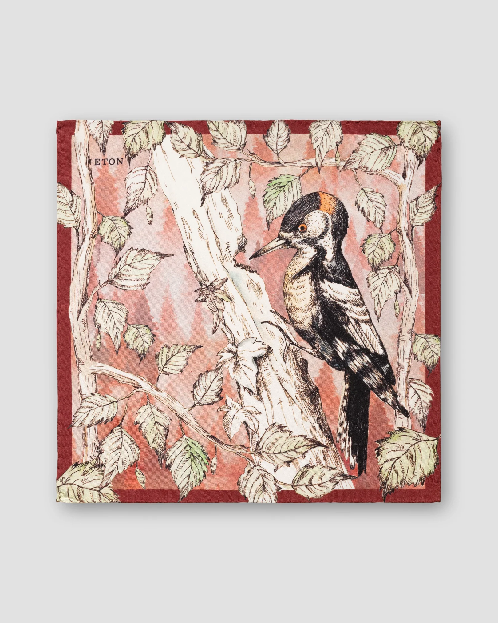 Eton - brown woodpecker print silk pocket square