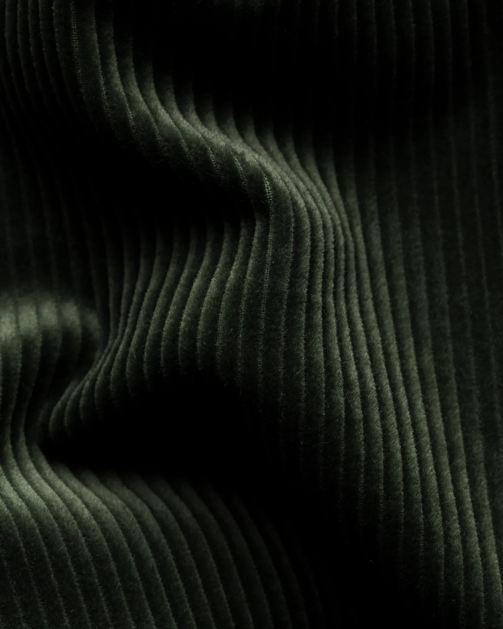 Corduroy